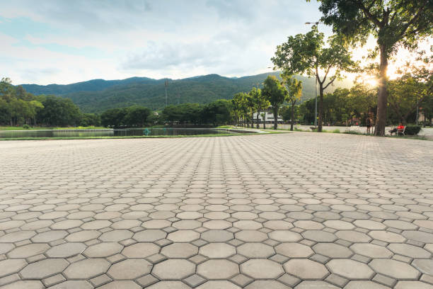 Best Driveway Paver Sealing  in Easley, SC